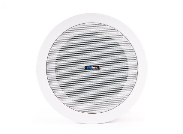 Фото Потолочный динамик SKY SOUND T-104TW L