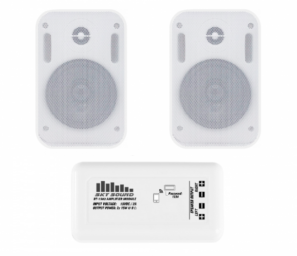 Фото Акустический комплект SKY SOUND BT-2402 WHITE L