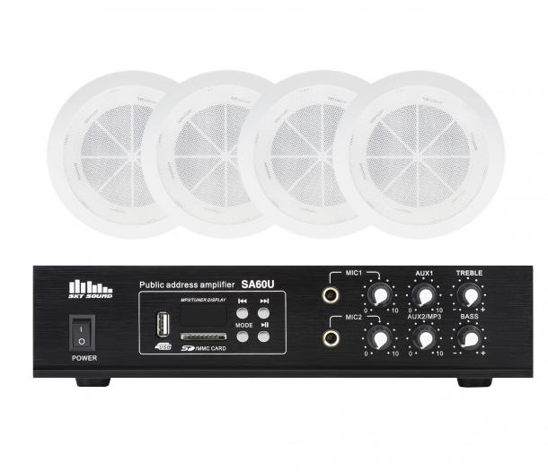 Фото Акустический комплект SKY SOUND CSB-2504 L