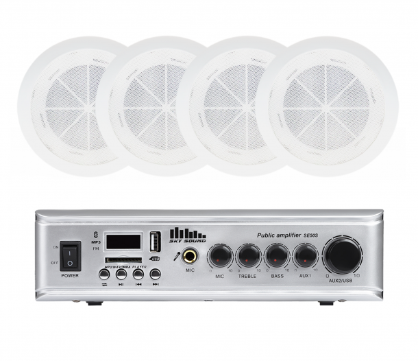 Фото Акустический комплект SKY SOUND CSE-2504 L
