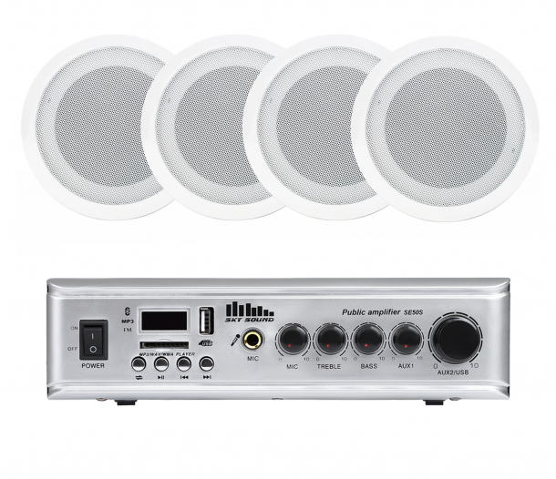 Фото Акустический комплект SKY SOUND CSE-3004 L