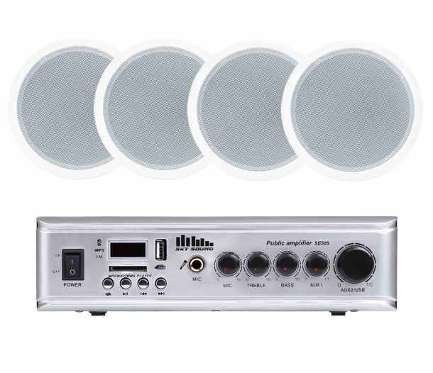 Фото Акустический комплект SKY SOUND CSE-3104 L