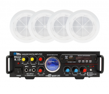 Акустический комплект SKY SOUND CSM-2504