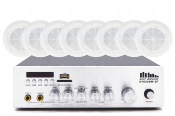 Акустический комплект SKY SOUND CSY-2508