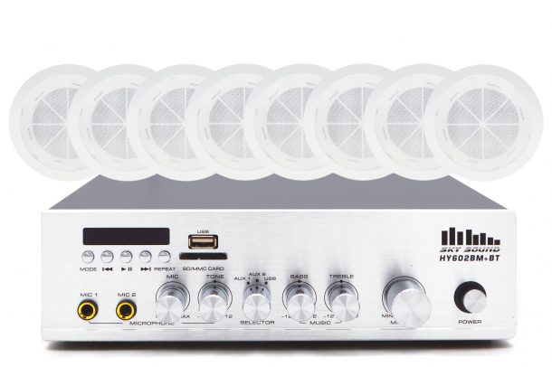 Фото Акустический комплект SKY SOUND CSY-2508 L