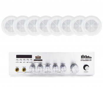 Акустический комплект SKY SOUND CSY-2508