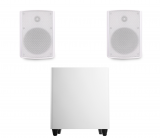Фото1 Акустический комплект SKY SOUND SUBT-10W/NS (2*50Вт) WHITE (ONLY BT) S