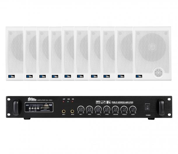 Фото Акустический комплект SKY SOUND WS-2010 L