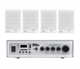 Фото1 Акустический комплект SKY SOUND WSE-2004 WHITE S