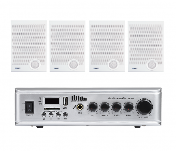 Фото Акустический комплект SKY SOUND WSE-2004 WHITE L