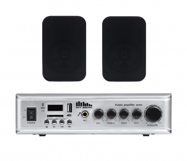 Фото Акустический комплект SKY SOUND WSE-2402 BLACK L