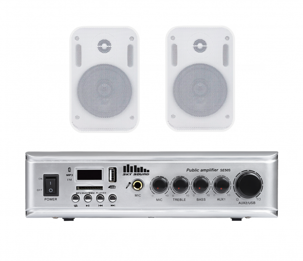 Фото Акустический комплект SKY SOUND WSE-2402 WHITE L