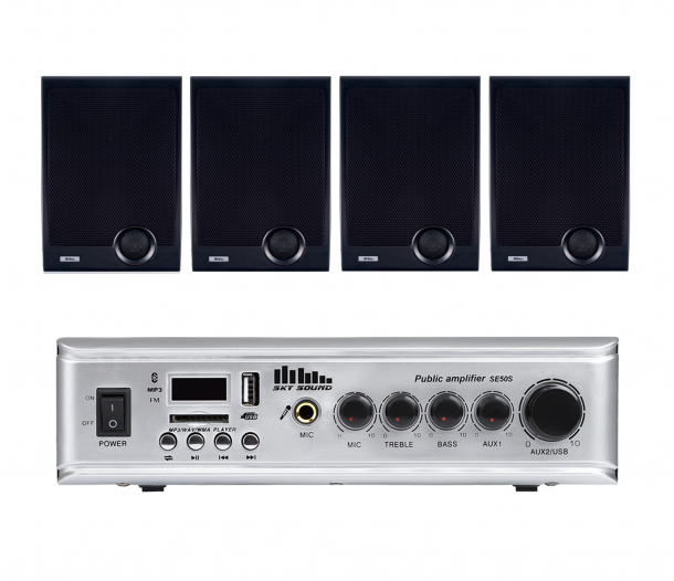 Фото Акустический комплект SKY SOUND WSE-2504 BLACK L