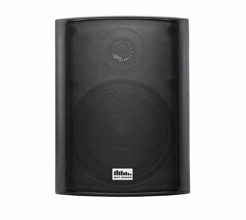 Фото Акустический комплект SKY SOUND WSH-3004 BLACK L