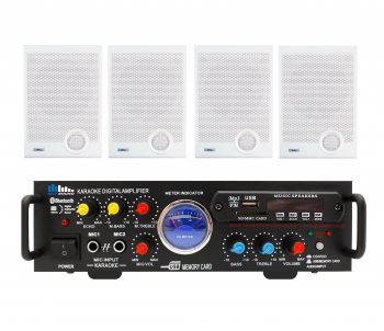 Акустический комплект SKY SOUND WSM-2004