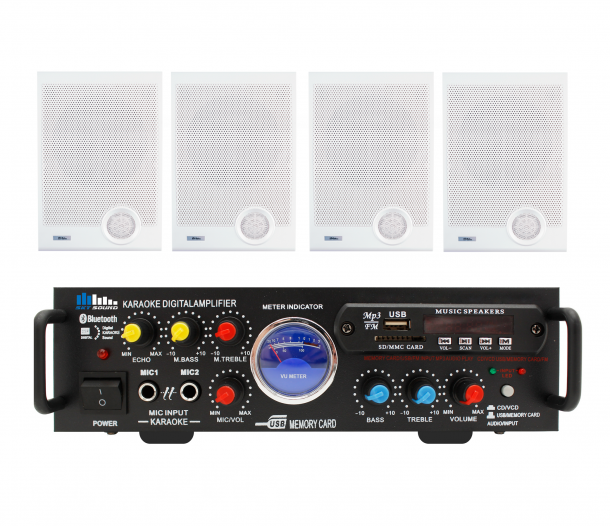 Фото Акустический комплект SKY SOUND WSM-2004 L
