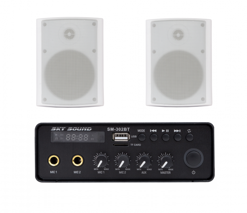 Фото Акустический комплект SKY SOUND SMN-3022 WHITE L