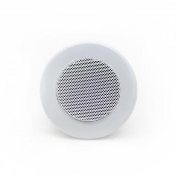 Потолочный динамик  SKY SOUND TS-1010W