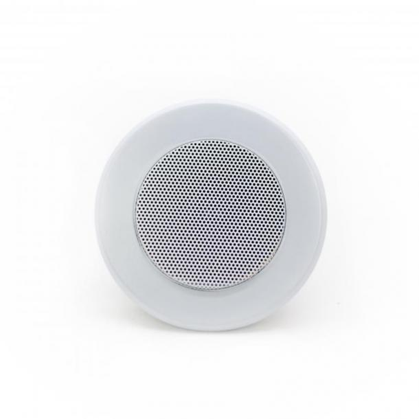 Фото Потолочный динамик  SKY SOUND TS-1010W L