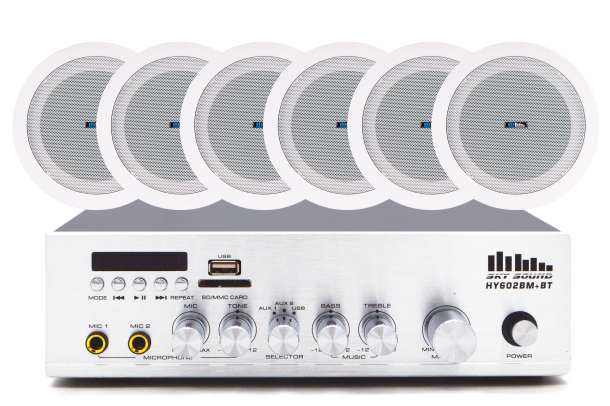 Фото Акустический комплект SKY SOUND CSY-1056 L