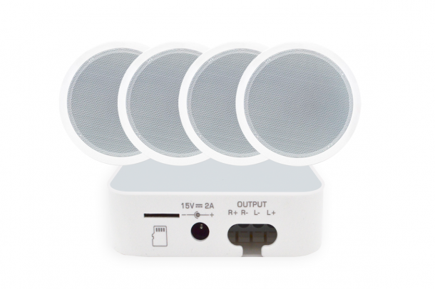 Фото Акустический комплект SKY SOUND WIFI BOX-1030 L