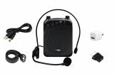 Фото1 Громкоговоритель для гида SKY SOUND GID-35W (MP3,FM,Bluetooth) S