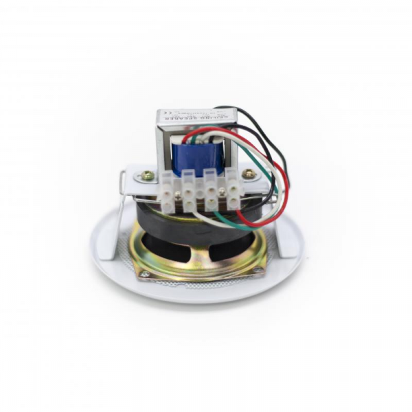 Потолочный динамик SKY SOUND TS-1010TW купить в интернет-магазине Sky Sound