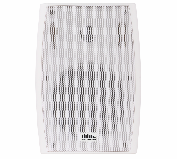 Фото Настенная акустика SKY SOUND LS-45W/TW L