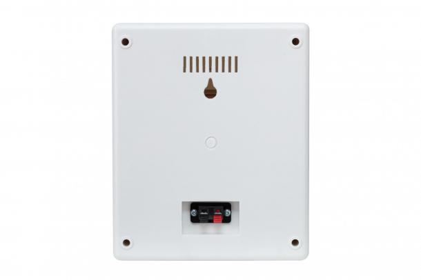 Фото Настенная акустика SKY SOUND NS-10TW L