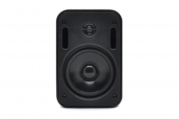 Настенная акустика SKY SOUND PM-1401B/TB