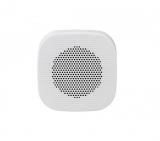 Фото1 Настенная колонка SKY SOUND NS-7TW S