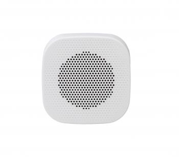 Настенная колонка SKY SOUND NS-7TW