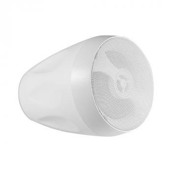 Подвесной динамик SKY SOUND PS-5TW
