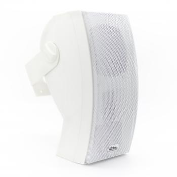 Настенная акустика SKY SOUND PM-5000TW