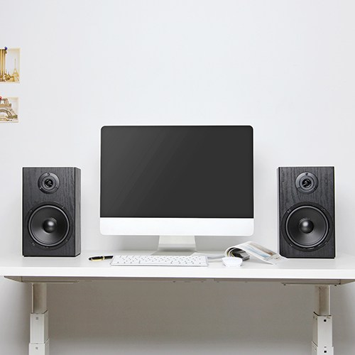 Фото Студийные мониторы SKY SOUND MS-65 BLACK (Pair) L