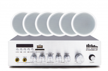 Акустический комплект SKY SOUND CSY-3106