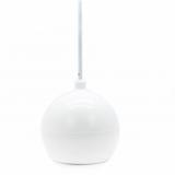 Фото1 Подвесной динамик SKY SOUND BL-20W S