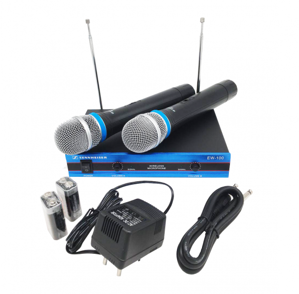 Фото Радиомикрофон SKY SOUND EW100 L