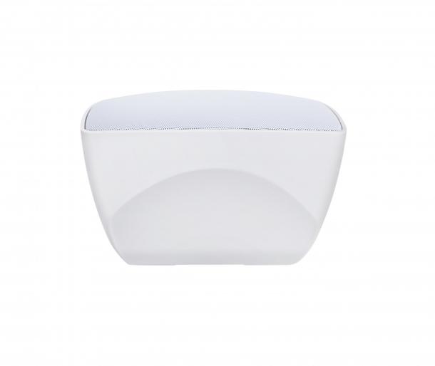 Фото Всепогодная настенная колонка SKY SOUND QS-5W/TW L