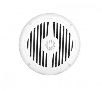 Всепогодный потолочный динамик SKY SOUND MS-06TW (Pair)