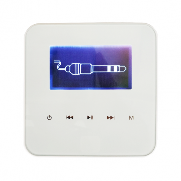 Фото Настенный проигрыватель SKY SOUND WI-FI WALL PLAYER N-230 (2*30W) L