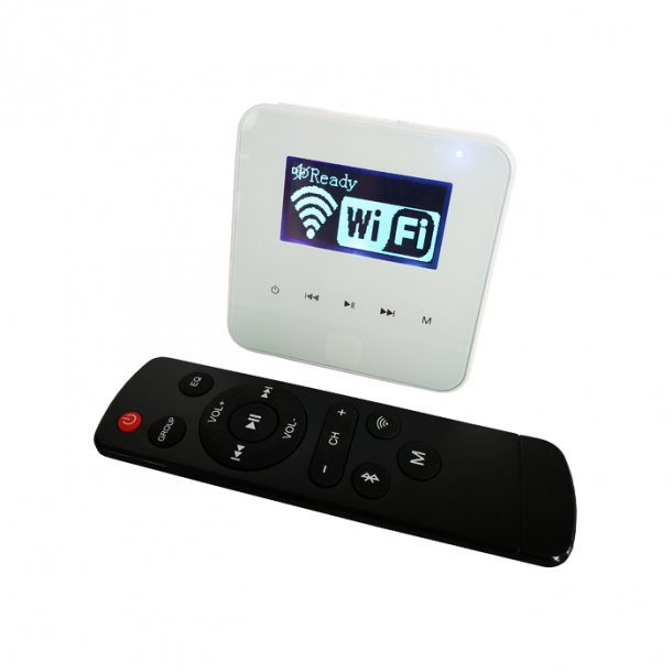 Фото Настенный проигрыватель SKY SOUND WI-FI WALL PLAYER N-230 (2*30W) L