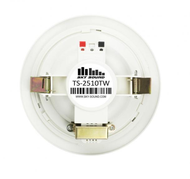 Фото Потолочный динамик SKY SOUND TS-2510TW L