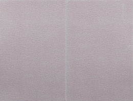 CARSYSTEM PROFLEX NEPTUNE 130 x 170 mm