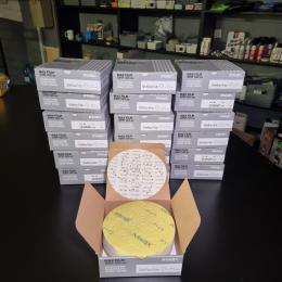 KOVAX MAXFILM  Шліфувальні диски 152 мм 15 отворів