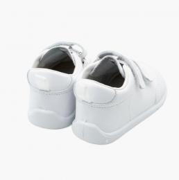 ORSO BLANCO DE TITANITOS