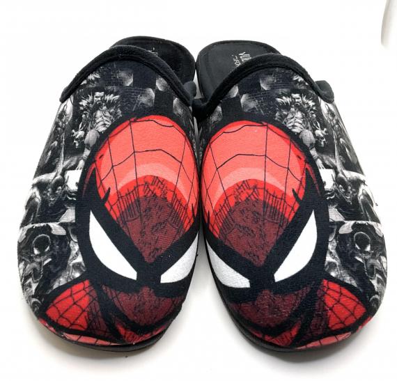 Foto Hombre araña