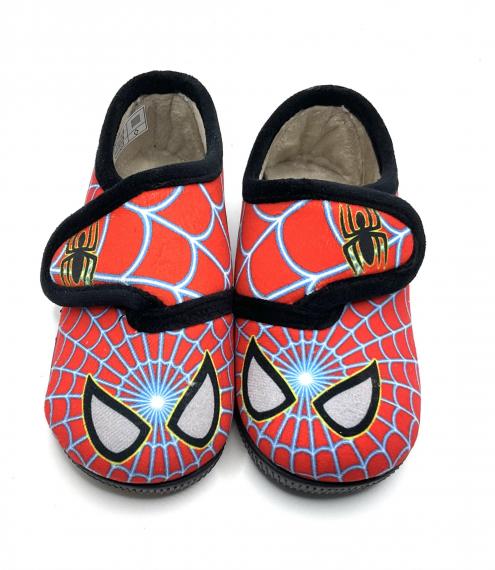 Foto Araña