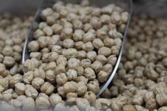 Foto garbanzo castellano