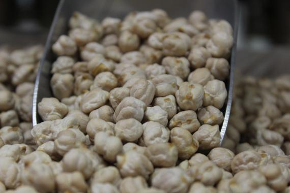 Foto garbanzo lechoso